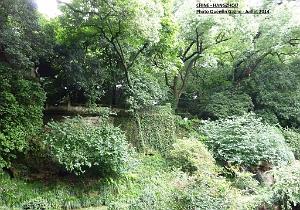 Quentin- Hangzhou 038